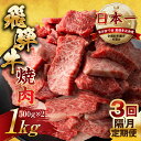 【ふるさと納税】【訳あり】定期便 飛騨牛 焼肉 切り落とし 500g × 2 計 1kg 3回隔月お届け | 定期便 お楽しみ 牛肉 肉 切落し 和牛 国産牛 黒毛和牛 牛肉 肉 わけあり ワケアリ 不揃い 小分け 冷凍 本巣市 トキノ屋 食品 訳有 [mt450] 75000円