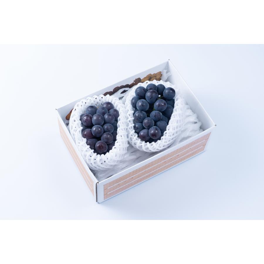 ＜福岡八女産黒木＞巨峰１ｋｇ