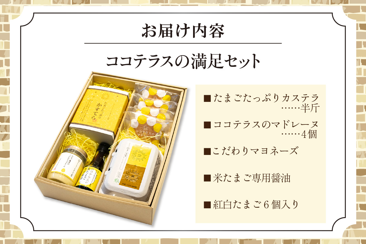 【お歳暮 外熨斗対応可能】ココテラスの満足セットココテラス デイリーファーム セット カステラ マドレーヌ マヨネーズ たまご 卵 朝日 明日 スイーツ お菓子 プレゼント 贈り物 ギフト ギフトセッ