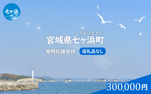 七ヶ浜町 返礼品なし 応援寄附【300,000円】| 7h-hn-300000 おすすめ 返礼品