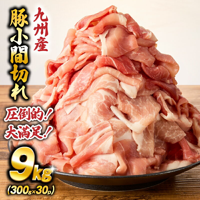 【ふるさと納税】【工場直送】九州産豚小間切れ 9kg 300g×30P 国産 豚 豚肉 小間切れ 真空 小分け 冷凍 国産豚 肉 お肉 大容量 ふるさと 人気 おすすめ 贈答 ギフト お裾分け プレゼント 精肉 宮崎県 小林市 送料無料