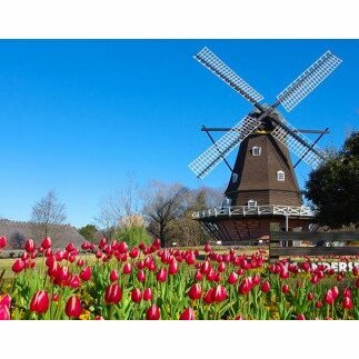 M001-R806 ふなばしアンデルセン公園入園券2026年6月30日～