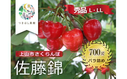 さくらんぼ（佐藤錦）７００ｇ（３５０ｇ×２パック）Ｌ～２Ｌ　0140-2502
