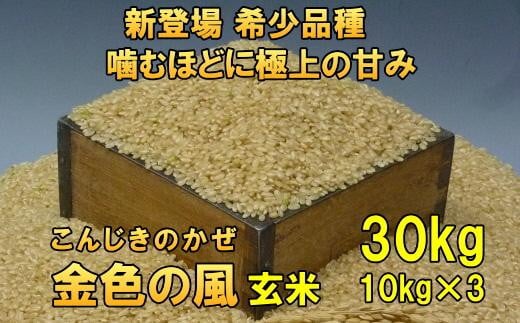新米 新登場の高級米 令和7年産 岩手県奥州市産 金色の風 玄米30kg 【7日以内発送】 おこめ ごはん ブランド米 [AC036]