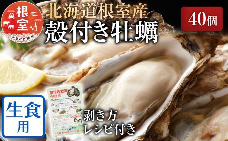 【北海道根室産】貝付き牡蠣40個[5月下旬以降発送] C-54008