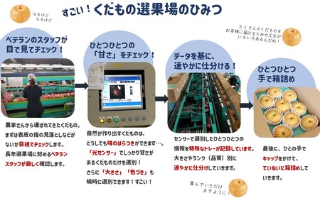 JA29-25A 【2025年先行予約】梨 南水 約2.2kg / 2025年9月上旬頃〜配送予定 // 贈答 センサー選別 糖度センサー 梨 なし ナシ 果物 フルーツ ギフト 南水 太鼓判 優糖生