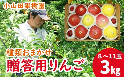 
＜令和６年産＞贈答用 滝沢りんご 種類おまかせセット ３kg（約８～11個）【小山田果樹園】 / リンゴ 林檎 食べ比べ
