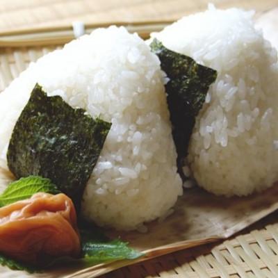 ふるさと納税 広川町 【毎月定期便】福岡有明のり　訳あり!　味付海苔　6袋セット　20g×6袋(広川町)全2回 |  | 02