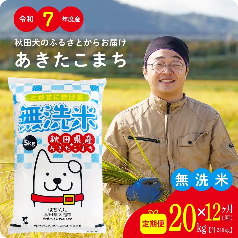 《令和7年産》【12ヶ月20kg定期便】無洗米 あきたこまち 無洗【真正ファーム】