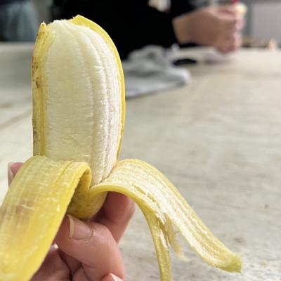 ふるさと納税 本部町 【2025年7〜12月発送予定】けんちゃんファームのアップルバナナ1.5kg〜1.8kg |  | 02