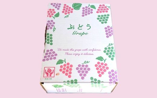 開田ぶどう園 巨峰 3kg （茨城県共通返礼品・石岡市産） ／ 巨峰 ぶどう 葡萄 ブドウ 果物 フルーツ 3kg