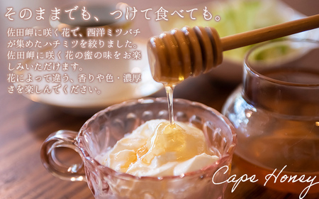 【蜂蜜3セット】みかん農園のはちみつ（もち蜂蜜・百花蜜・みかん蜜） ※離島への配送不可 IKTC016 