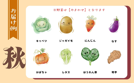 【先行予約】～旬っていちばんのごちそう～ひぐらし農場 季節の野菜便（秋）大サイズ（7-A38）