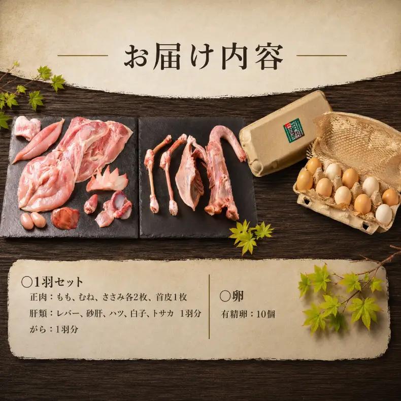 地鶏 土佐ジロー 【10月発送】 1羽 ( 正肉 肝 がら ) 卵 10個 セット 地鶏