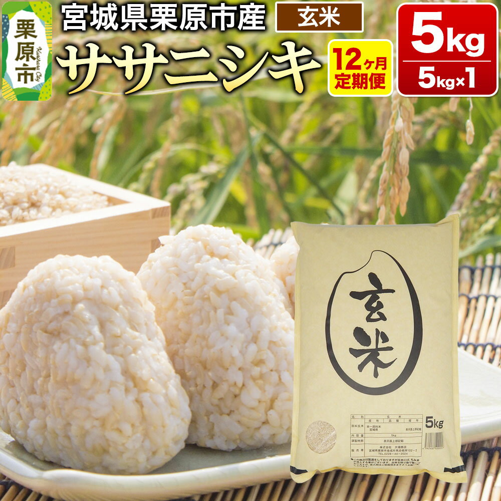 【ふるさと納税】《定期便12ヶ月》【令和7年産・玄米】宮城県産 ササニシキ 毎月5kg (5kg×1袋)×12ヶ月