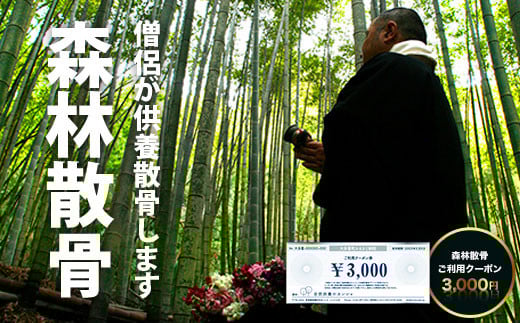 SK01002 森林散骨ご利用クーポン 3,000円 ふるさと納税 供養 お墓 森林 散骨 献花 お祈り 先祖 命日 お盆 お彼岸カンシャ 千葉県 大多喜町 送料無料