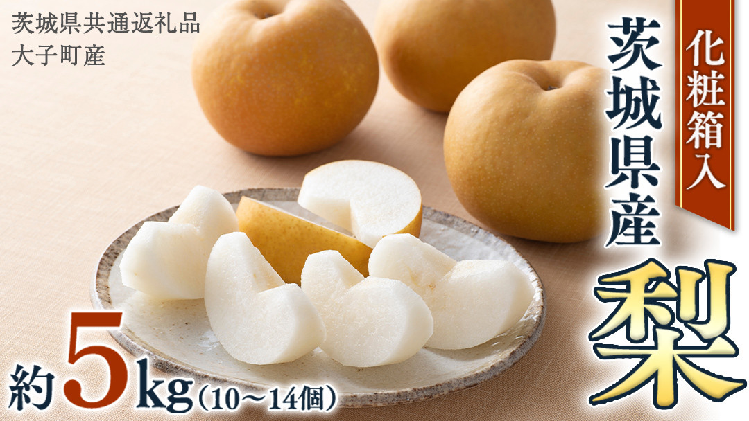 
            【化粧箱入り】梨 5kg（10〜14個）【2025年8月より発送開始】（茨城県共通返礼品 [梨]：大子町産） なし ナシ 果物 フルーツ 茨城県産
          