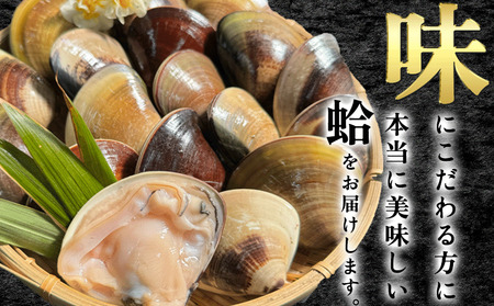 岬だよりの【大変希少な】天然はまぐり 中サイズ 500g×4袋【配送不可地域：離島】【1245800】