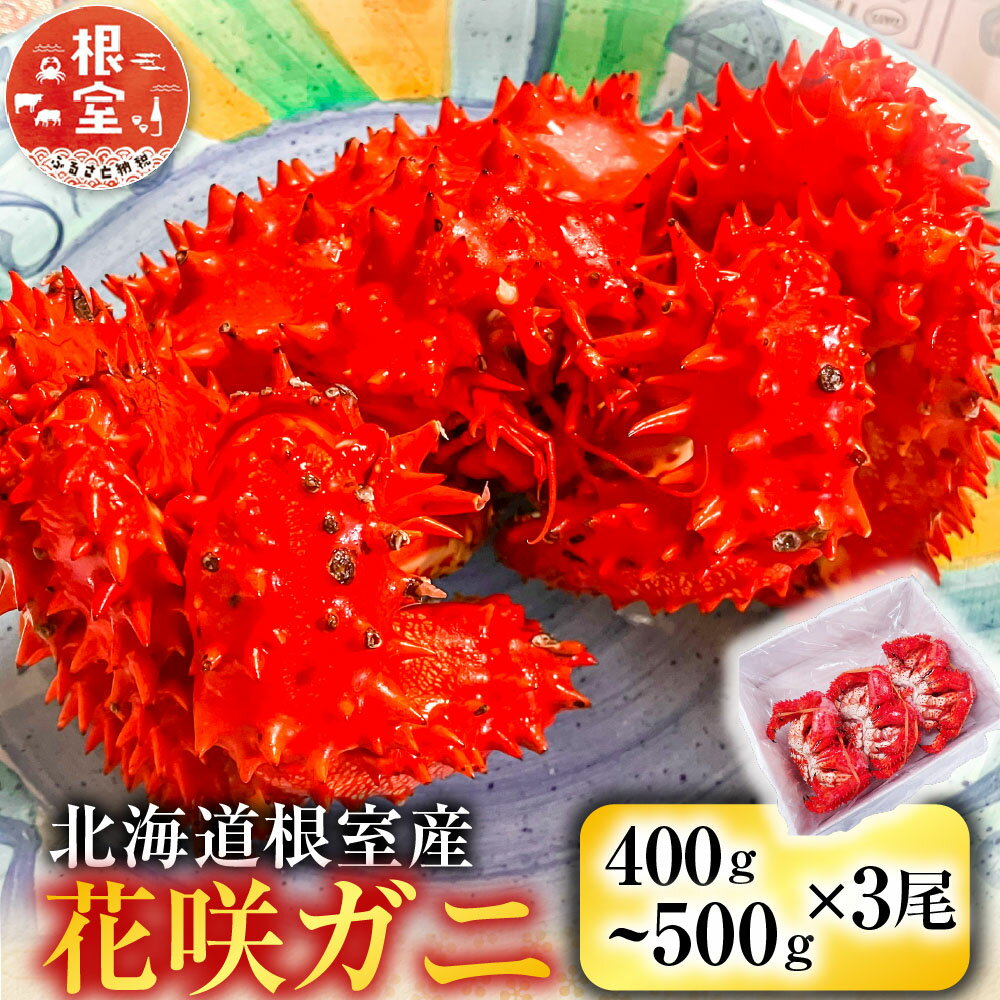 【ふるさと納税】 [北海道根室産] 花咲ガニ 400 ~ 500g × 3 尾 花咲がに 花咲 花咲かに 花咲蟹 かに カニ 蟹 お取り寄せ グルメ 海鮮 北海道 根室市 ふるさと納税 B-11119