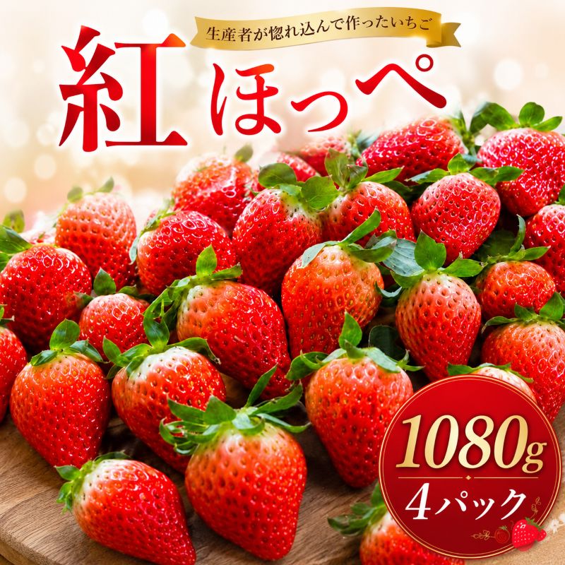 【ふるさと納税】 【2027年1月~3月発送】 いちご 紅ほっぺ 計1080g 約270g×4パック 苺 イチゴ 果物 フルーツ 産地直送 数量限定 期間限定 ふるさと納税いちご ichigo strawberry itigo 茨城 鉾田 10000円 以下 紅ほっぺの村田