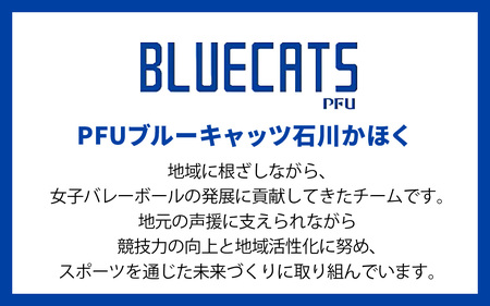 【PFUブルーキャッツ石川かほく】オーセンティックユニフォーム 1枚（全選手サイン入り）|ユニフォーム バレーボール