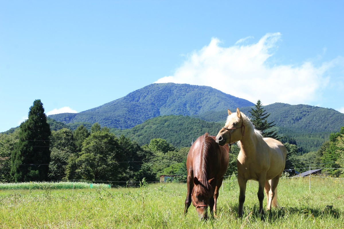 15:00 Check in：黒姫山の麓にある高原牧場で、茶々丸と雪丸の２頭が、皆さんをお出迎えします。