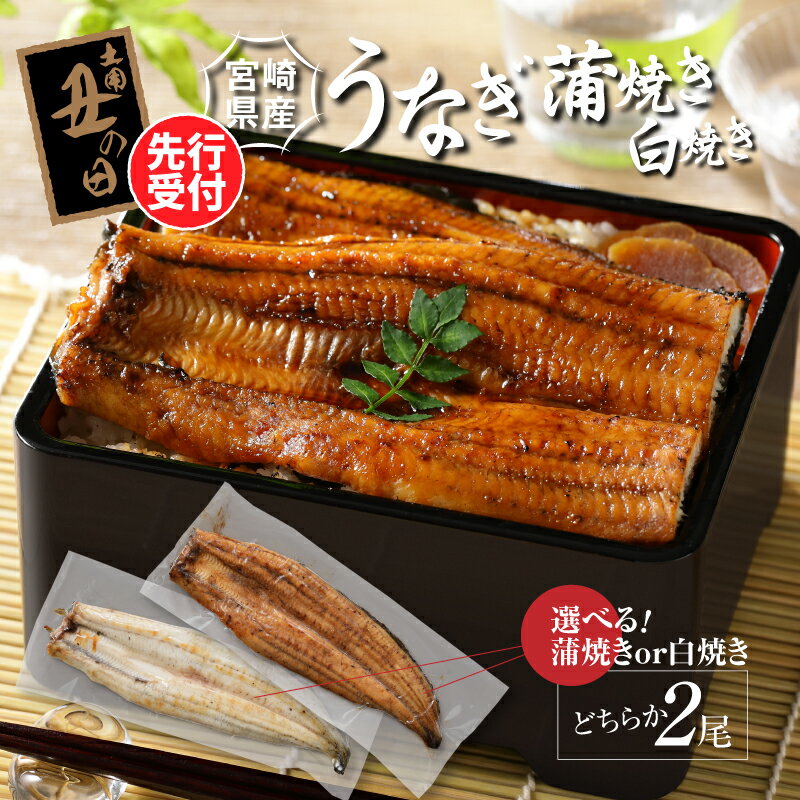 【ふるさと納税】宮崎県産 うなぎ 2尾セット 選べる 蒲焼き / 白焼き 2025年 丑の日 (7月14〜18日お届け) - 鰻 国産 国内産 うなぎの蒲焼き 自慢のたれ付き ひつまぶし うな丼 うな重 鰻巻き ご飯 惣菜 瞬間冷凍【宮崎県児湯郡木城町】