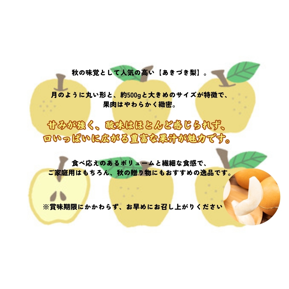 【予約受付中】【9月上旬より順次発送】 【濱田農園】 秋月梨 約5kg 【数量限定】