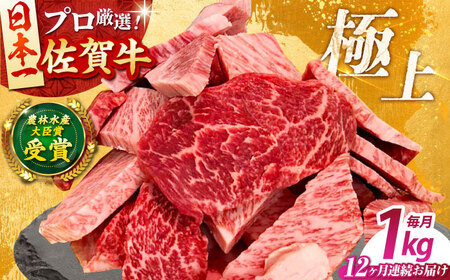 【全12回定期便】佐賀牛 焼肉用 1kg 【田中畜産牛肉店】[HBH153] 焼肉 佐賀牛 黒毛和牛