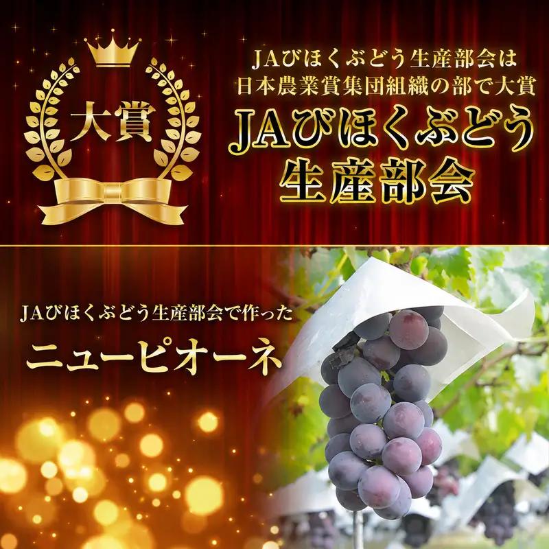 ニュー ピオーネ 約2kg 3～5房 ぶどう 葡萄 フルーツ 岡山 高梁市産 2026年 先行予約 果物類 果物 