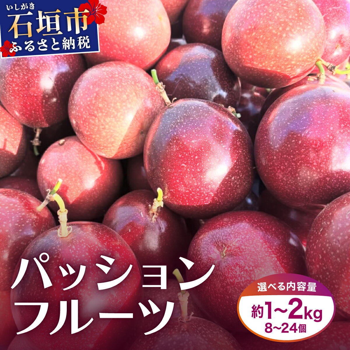 【ふるさと納税】《2025年12月下旬〜2026年6月頃発送》希少な完熟パッションフルーツ 約1〜2kg (8〜24個) | フルーツ ふるさと納税 ふるさと 沖縄県 沖縄 石垣 石垣島 石垣市 人気