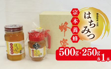 はちみつ 化粧箱入  セット 500g 250g 各1本 はちみつ はちみつ はちみつ はちみつ はちみつ