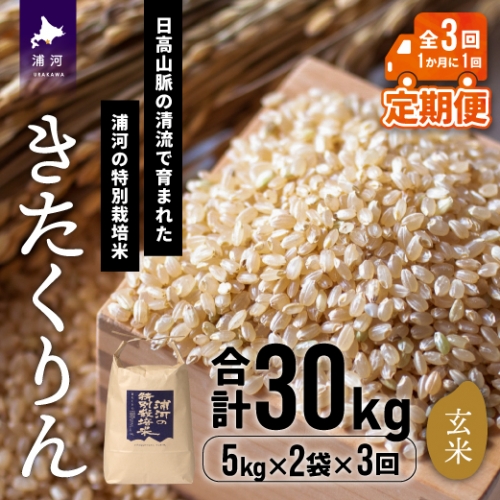 【令和5年産】浦河の特別栽培米「きたくりん」玄米(5kg×2袋)定期便(全3回)[28-1208]