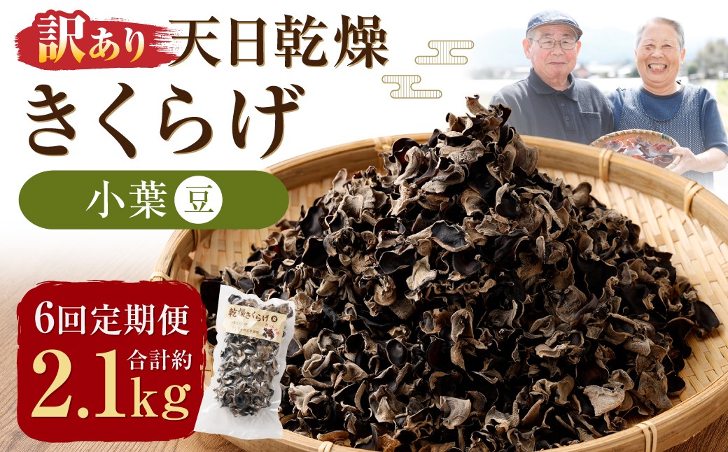 
            【6ヶ月定期便】 【訳あり】 天日乾燥 きくらげ 「小葉 （豆）」 50g×7パック 計350g （合計約2.1kg） 6回定期便 訳アリ 理由あり わけあり キクラゲ 木耳 乾燥きくらげ 乾燥キクラゲ 乾燥木耳 肉厚 常温 定期便 九州 熊本県 人吉市
          