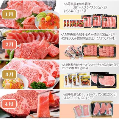 ふるさと納税 枕崎市 定期便(12回配送)A5等級黒毛和牛&かつお・まぐろ KK-6004 |  | 01