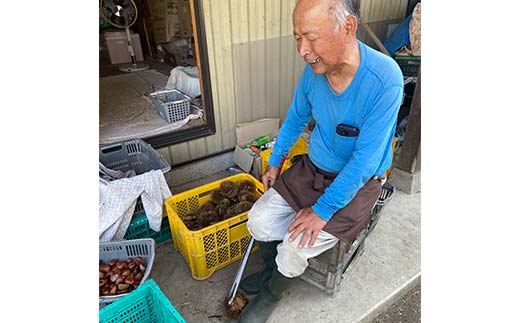 さかほぎ 小栗正幸さんちの大きな栗むしようかん 栗 栗むし羊羹 羊羹 ようかん 栗ようかん スイーツ 和菓子 秋 F6M-140