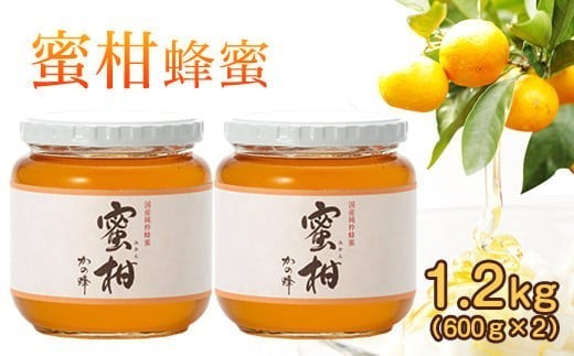 
＜国産＞かの蜂 みかん蜂蜜1.2kg【600g×2個】福岡県八女市で収獲した完熟みかん蜂蜜 保存食 防災グッズ
