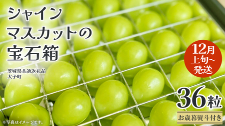 【 お歳暮 熨斗付き 】 シャインマスカット の宝石箱 36粒 【2025年12月上旬発送開始】(茨城県共通返礼品：大子町) ぶどう 葡萄 フルーツ 果物 贈答用 ギフト 贈り物