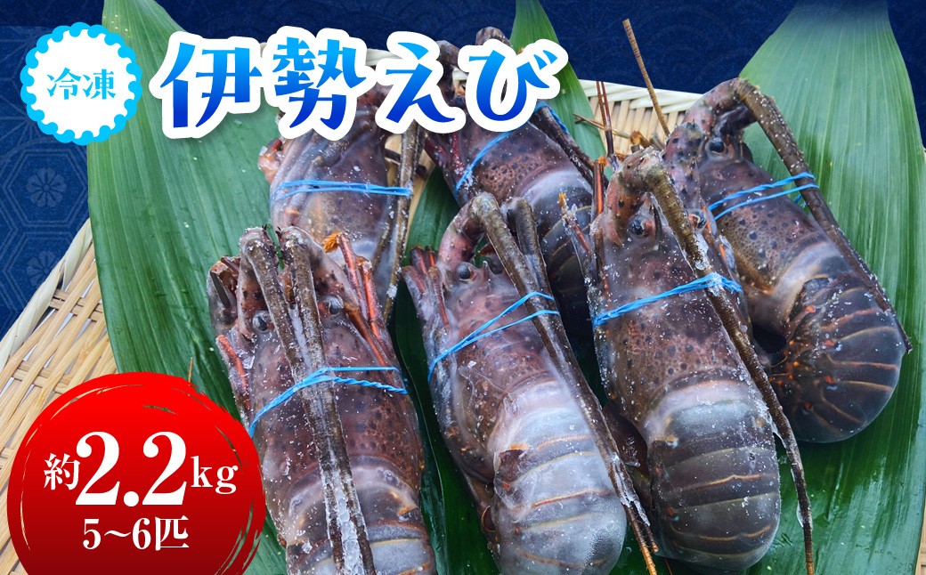
                  G108 冷凍伊勢えび2.3kg(300～500g×５～６匹入)　ONJA018
                