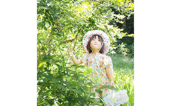 No.060 ＜2ヵ月毎定期便＞大粒冷凍ブルーベリー1kg「るりしずく」　全5回