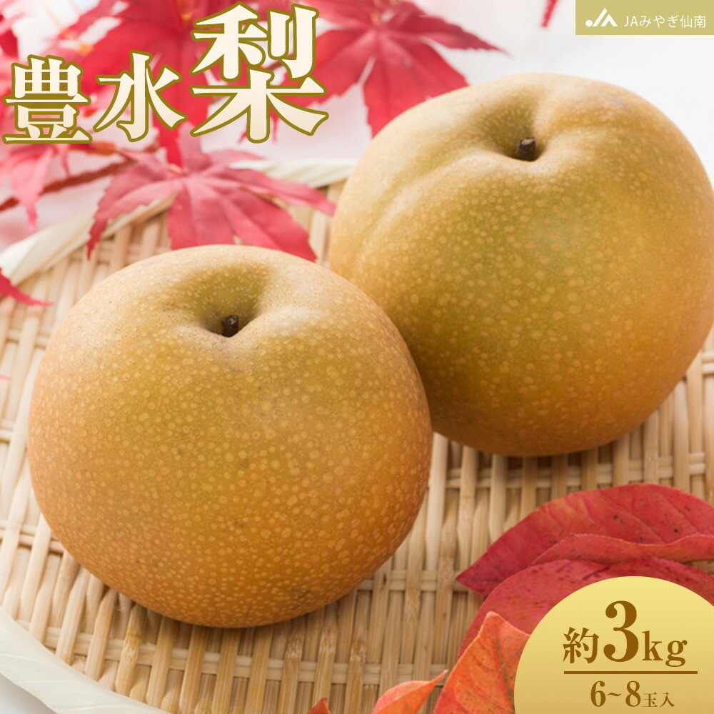【ふるさと納税】梨 豊水 約3kg 6～8玉 ナシ なし 和梨 豊水梨 ほうすい 国産 旬の梨 こだわりの梨 フルーツ 果物 くだもの 秋の味覚 旬の味覚 旬のフルーツ 旬の果物 みずみずしい 甘さ 酸味 シャリ感 ジューシー 果汁たっぷり 人気 おすすめ 送料無料 数量限定 季節限定