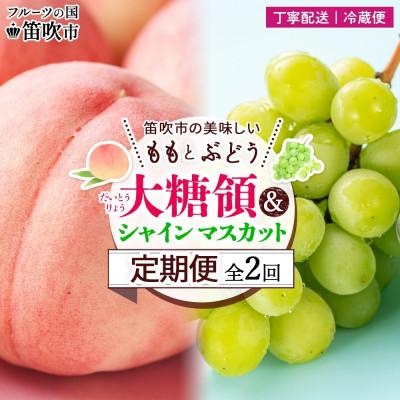 ふるさと納税 笛吹市 【発送月固定定期便】笛吹市の桃とぶどう 大糖領 1.5kg&amp;シャインマスカット 1房 600g全2回