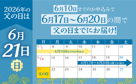 《父の日までにお届け》リーガスベゴニア イエロー 花 花 鉢植え 鉢 鉢花 花 観葉植物 植物 5号鉢 人気 おしゃれ かわいい 父の日 プレゼント 贈り物 贈答 ギフト 夏 フラワーギフト 父 あり