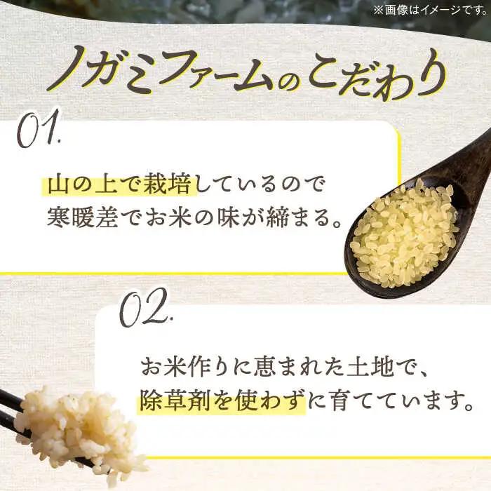玄米 5kg ノガミファーム[ADAU009] 米 玄米5キロ