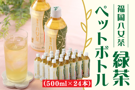 AC351.福岡八女茶のペットボトル.緑茶（５００ml×２４本）【八女茶】
