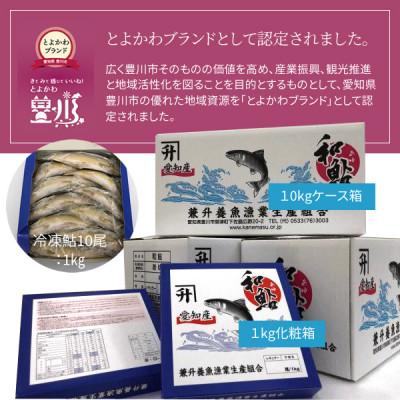 ふるさと納税 豊川市 とよかわ鮎 1kg - 厳選鮎使用!【おすすめお礼品】 |  | 03