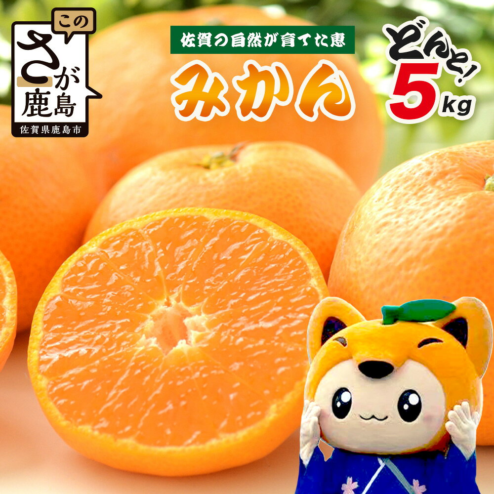 【ふるさと納税】【先行予約】みかん 5kg（箱込）佐賀県産 混合サイズ 蜜柑 ミカン 果物 フルーツ 国産 温州みかん 濃縮された旨み 数量限定 期間限定 お取り寄せ 佐賀 鹿島 送料無料 A-227