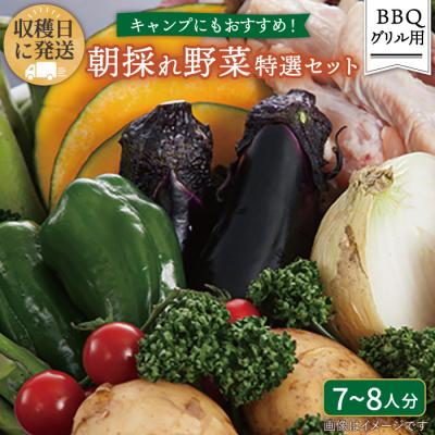 ふるさと納税 糸島市 バーベキュー・グリル用朝採れ野菜特選セット 福岡県糸島産(7-8人分) [AGE039]