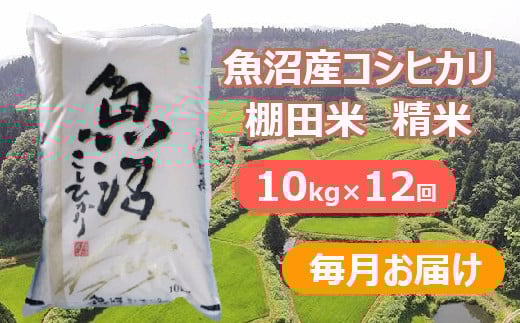 
            【先行予約】【令和7年産 新米】【12か月定期便(毎月全12回)】魚沼産コシヒカリ・棚田米 白米10kg×12回(毎月お届け)※2025年9月下旬以降より順次発送予定 佐藤農場【0018-0024DB00-01】
          