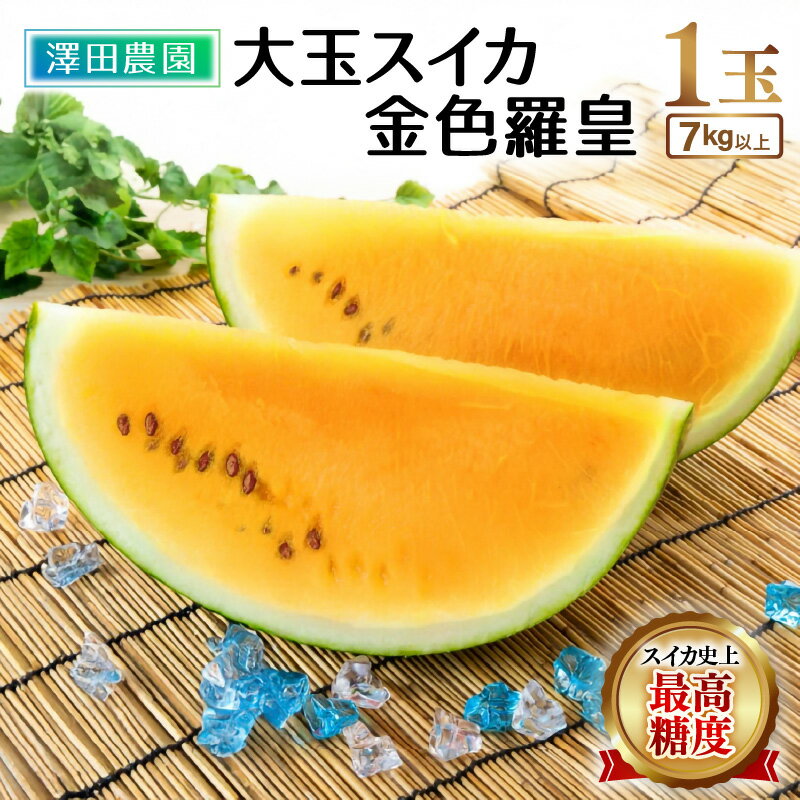 【ふるさと納税】【先行予約】大玉スイカ『金色羅皇』（7kg以上 1玉入） スイカ史上 最高糖度！／ 期間限定 数量限定 果物 フルーツ 西瓜 すいか 産地直送 高糖度 ※2026年6月中旬より順次発送
